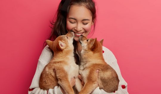 Pet lover: como adotar um animal com consciência? - Mulher com dois filhotes
